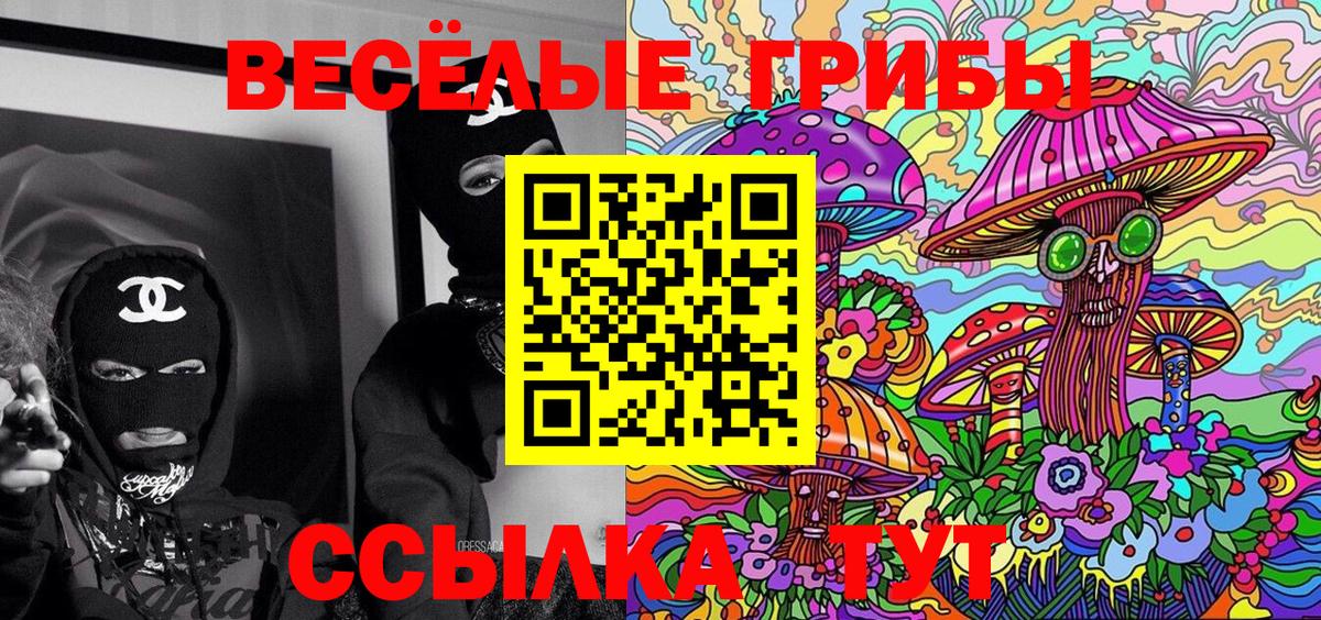 как найти наркотики  Вход с VPN  Псилоцибиновые грибы MAGIC MUSHROOMS  Тимашёвск  Псилоцибиновые грибы ЛСД 